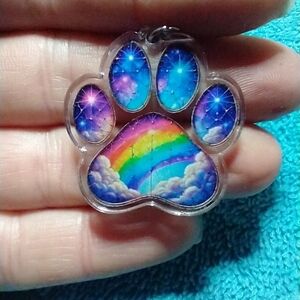 Cute colorful rainbow bridge dog paw memorial wire dangle earrings